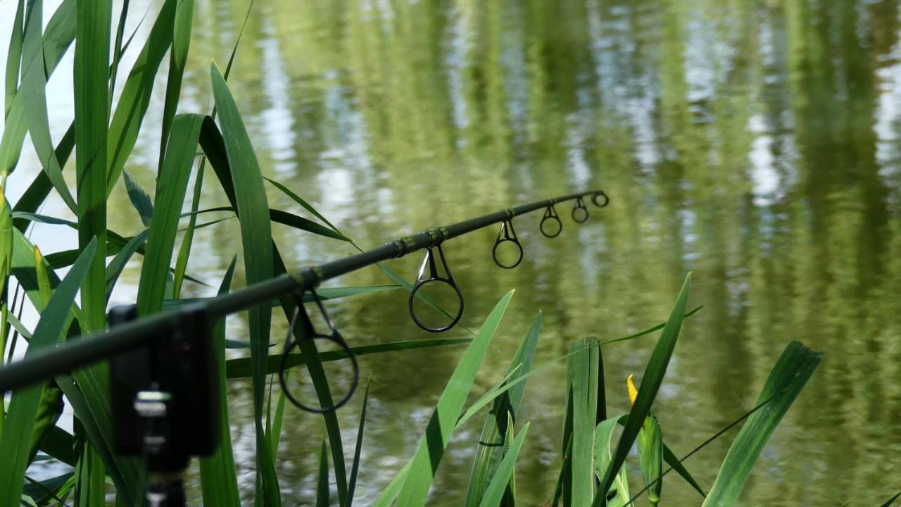 Rum Bridge Fisheries "The Cabin" Hotell Clare Eksteriør bilde