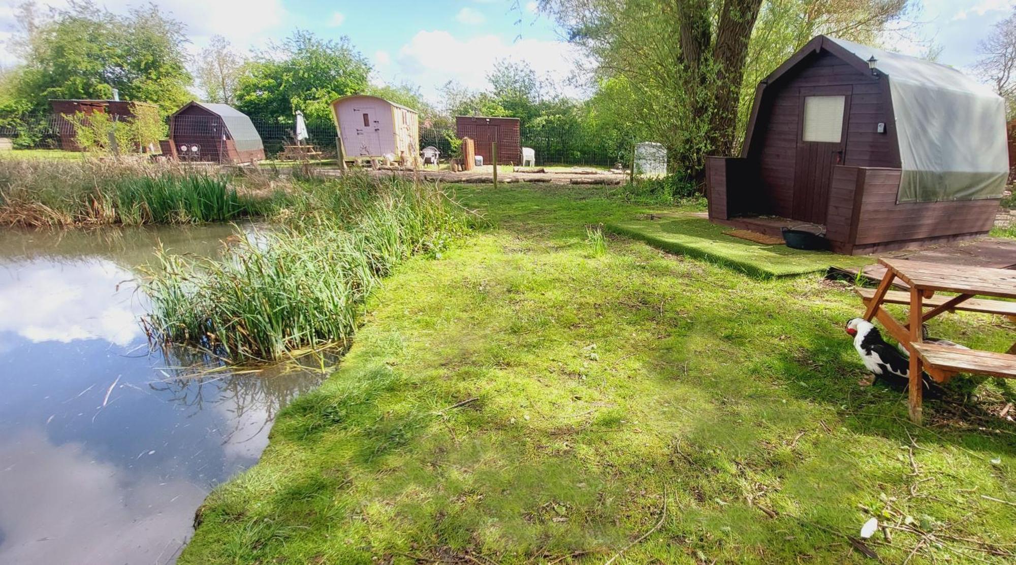 Rum Bridge Fisheries "The Cabin" Hotell Clare Eksteriør bilde