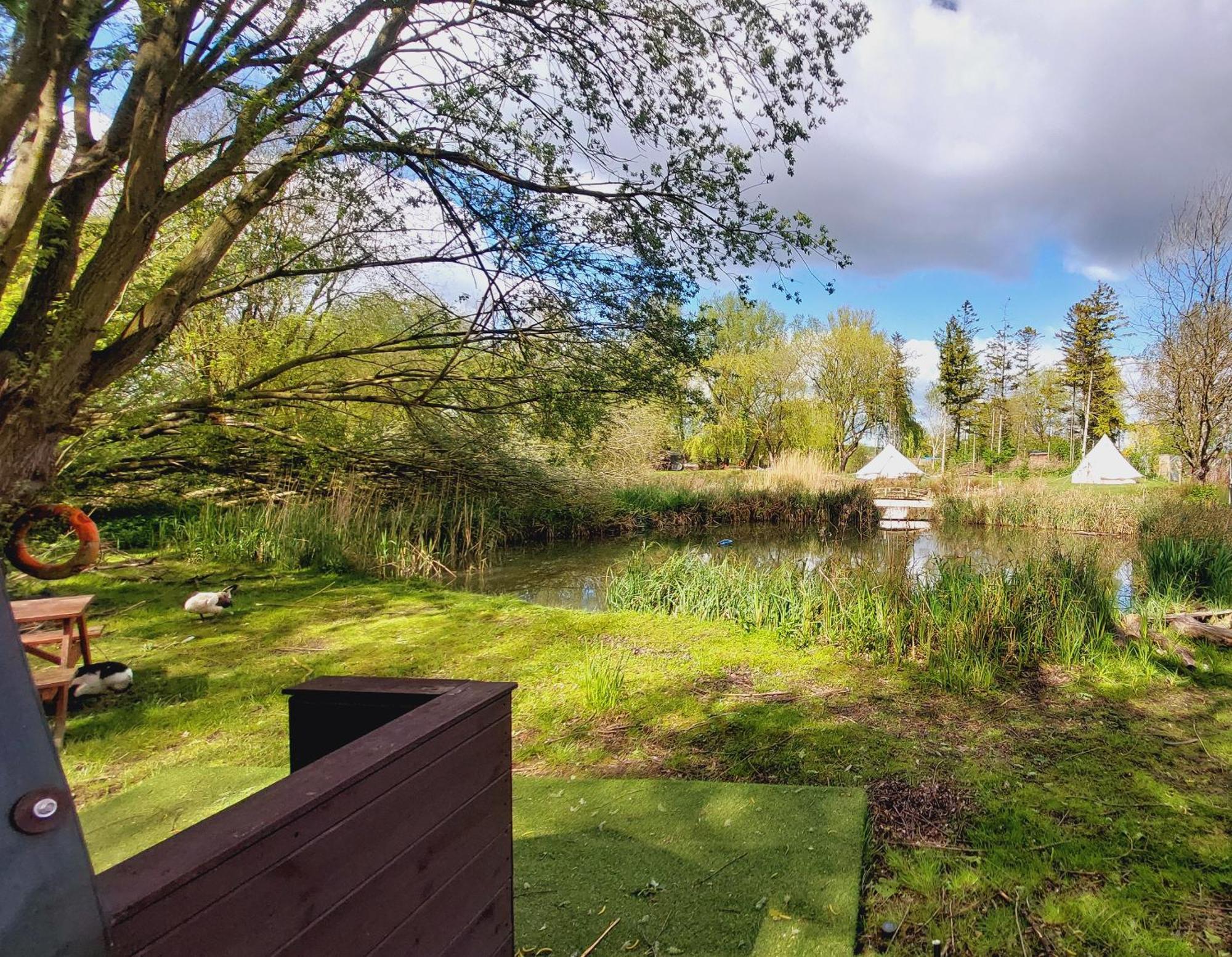 Rum Bridge Fisheries "The Cabin" Hotell Clare Eksteriør bilde