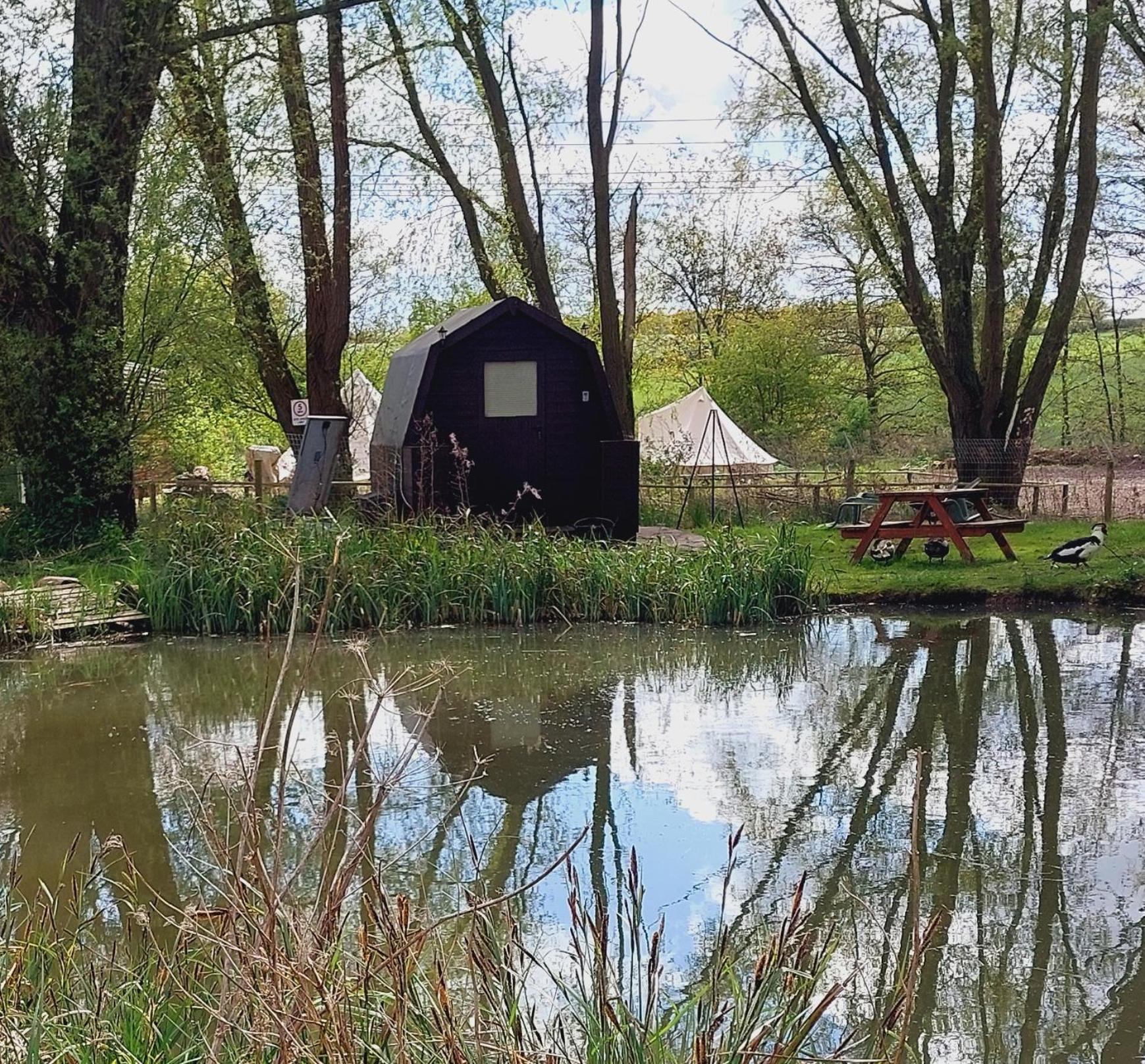 Rum Bridge Fisheries "The Cabin" Hotell Clare Eksteriør bilde