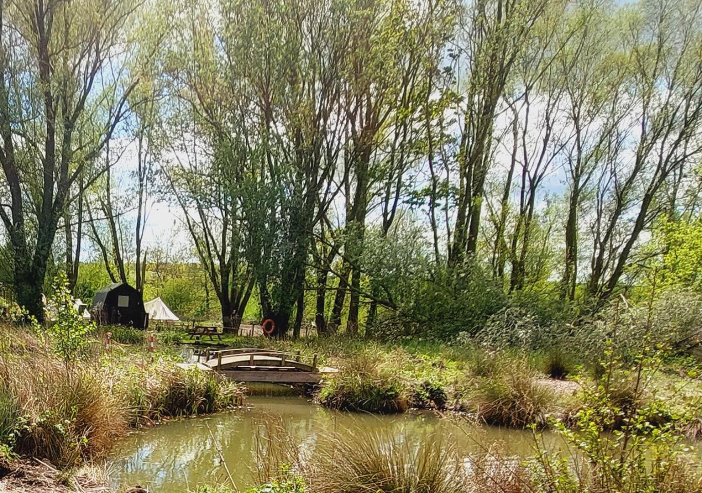 Rum Bridge Fisheries "The Cabin" Hotell Clare Eksteriør bilde